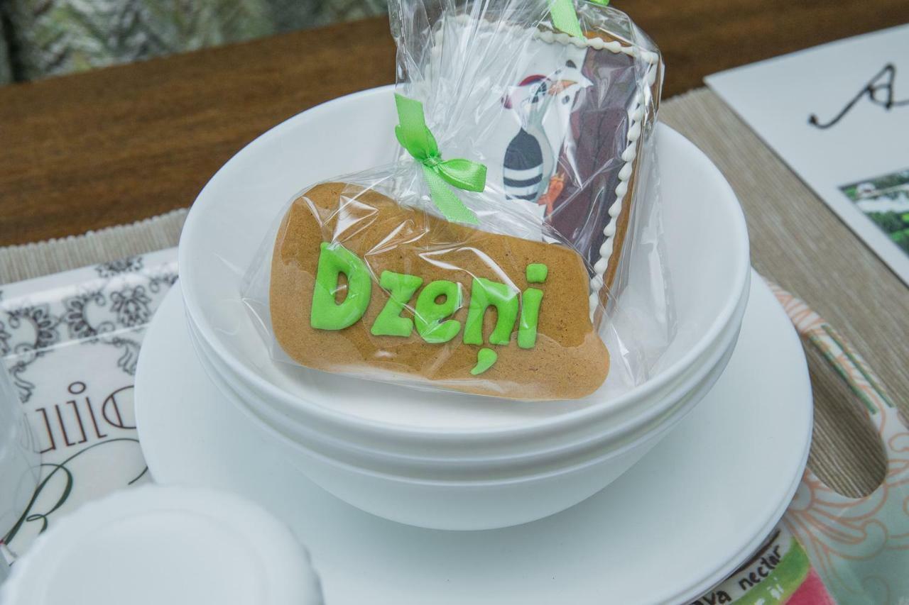 Dzeni Guest House Amatciems Ngoại thất bức ảnh